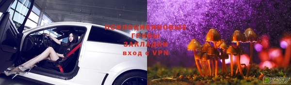бошки Алзамай