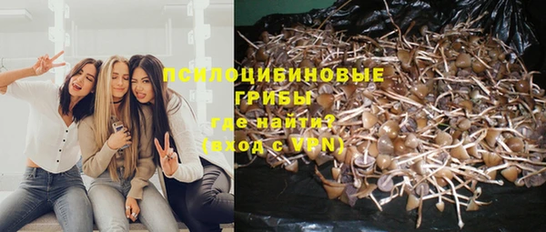 дживик Абаза