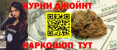 тгк Кингисепп