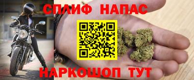 тгк Кингисепп