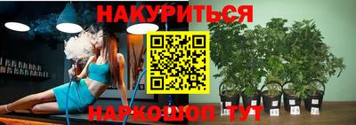 прущие крисы Кимры