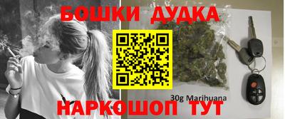 тгк Кингисепп