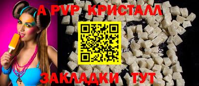тгк Кингисепп