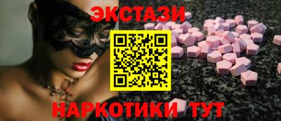 тгк Кингисепп